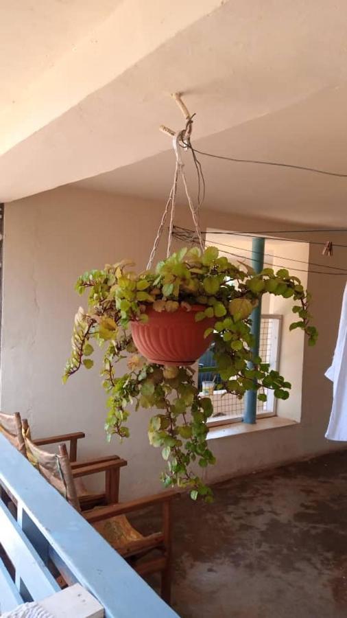 Lushoto Views Cottage Zimmer foto
