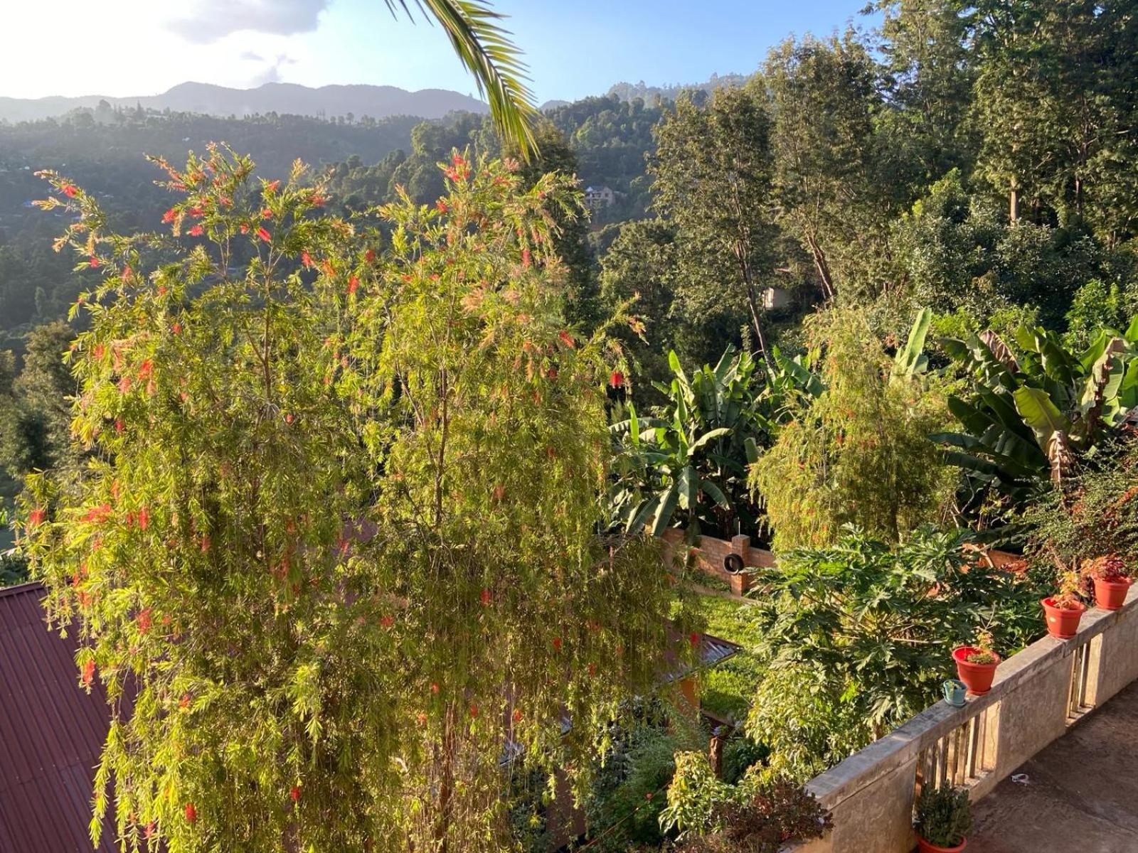 Lushoto Views Cottage Exterior foto